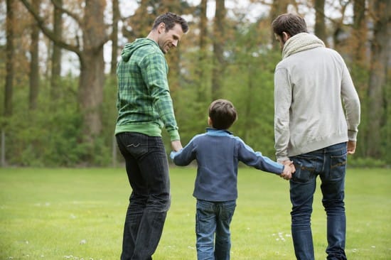 Rear view of a boy walking with two men in a park